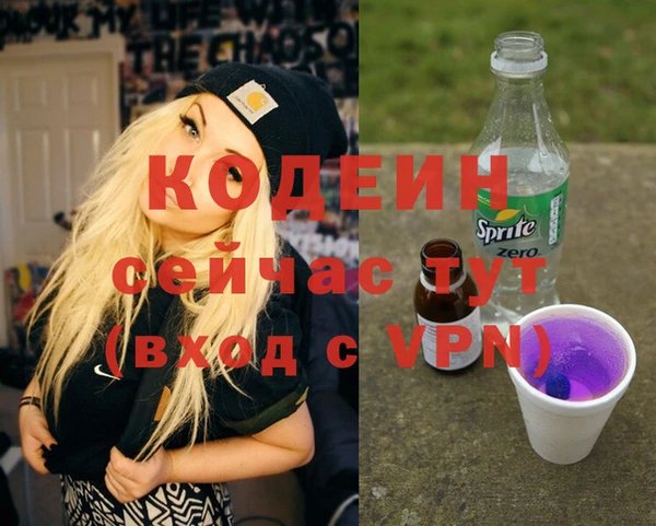 дмт Нягань