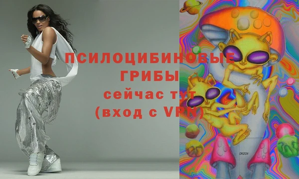 дмт Нягань
